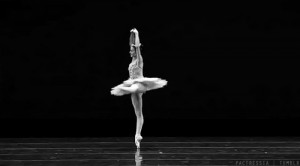 ballet Ballet GIF love forever love ballet ballet black and white