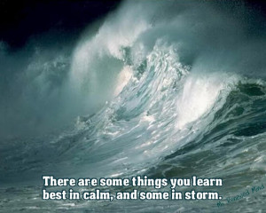 there are some things you learn best in calm and some in storm willa ...