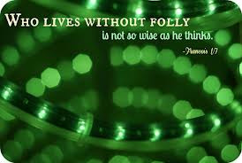 Who Lives Without Folly Is Not So Wise As He Thinks ~ Apology Quote