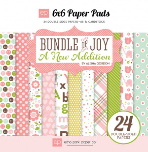 Echo Park - Bundle of Joy New Addition Collection - Girl - 6 x 6 Paper ...