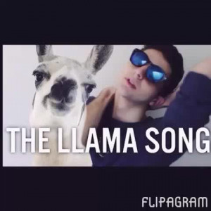 SorryForTheSong who heard about about twaimz Video Thumnbail
