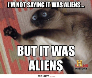 funny alien cat