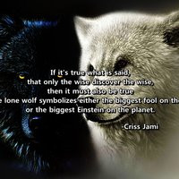 wolf quotes photo: Lone Wolf LoneWolf_zpse8060d6b.jpg