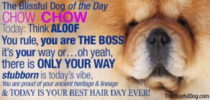 The Blissful Dog CHOW NOSE BUTTER® for your best Chow buddy!