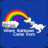 Where Rainbows Come From Stupid Sayings on T-shirts. Awful Gag Gifts ...