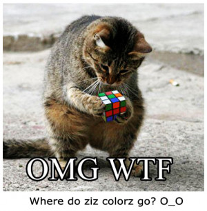 You think you had an exhausting week? Look at this cat here! It doesn ...