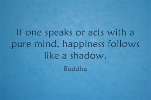 Pursuit of Happiness Quotes & Sayings