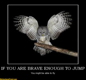 IF YOU ARE BRAVE ENOUGH TO JUMP - You might be able to fly
