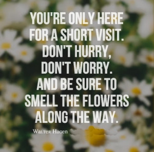 Added: Jan. 18, 2014 | Image size: 500 x 495 px | More from ...