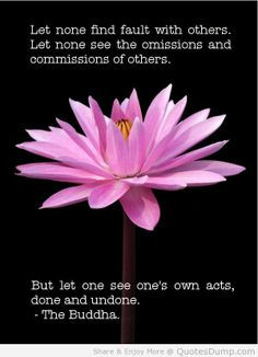 quotes more life quotes buddha wisdom buddha quotes buddhism ...