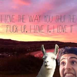 Quotes Llama Twaimz