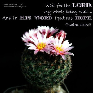 survivor69 s bucket bible verses wait verses