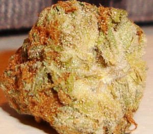 Re: Favorite indica dominant strains