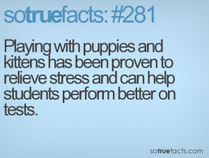 ... to relieve stress and can help students perform better on tests