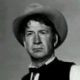 Chill Wills