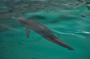 Categories Search. Pinterest English. (US) Come on in!