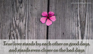 Love Quotes-Thoughts-True love stands by each other on good days