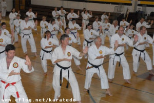 ... Ken Shin Shu Kan Karate Do Waza (Pepe Sensei Hanshi 10º Dan - Ju Dan