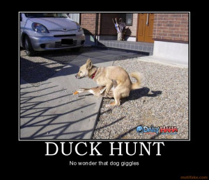 File Name : duck-hunt-demotivational-poster-1208588148.jpg Resolution ...