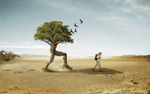 Creative Examples of Photo Manipulation Art