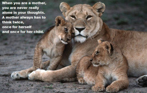 ... x675 added 2 years ago tags mother quote quotes lion love tweet pin
