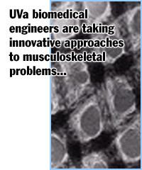 Musculoskeletal Bioengineering