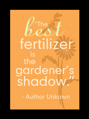 You can bury a lot of troubles by digging in the dirt.”