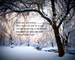 ... in forest - winter woods - with quote - original nature photography