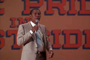 There's what we expect bears to do and then there's what they do ...