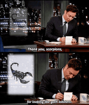 Late Night With Jimmy Fallon Thank You Notes Source: late night jimmy