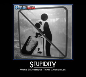 Stupidity_is_Dangerous_Funny_Picture