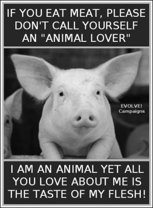 ... companion animals instead of adopt etc than you do not love animals
