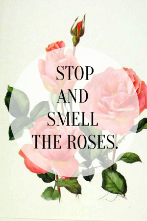 Stop and smell the Roses