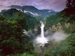Nature s Wonders Amazon River