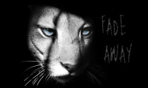 white cougar Background