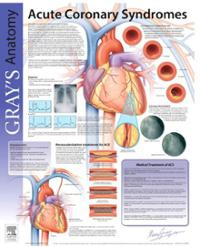 grays-anatomy-coronary-heart-disease-diseases-disorders-posters ...