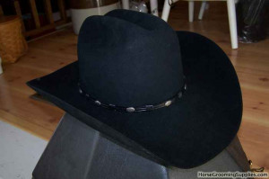 Discuss Look, Can you use any of this? FS or Trade at the Horse ...