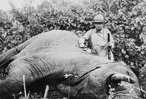 Theodore Roosevelt with an elephant he shot in Meru, Kenya.