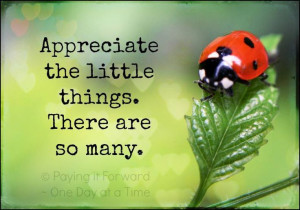 ... , Ladybugs, Lady Beetles, Ladybeetle, Lady Bugs, Pictures Quotes
