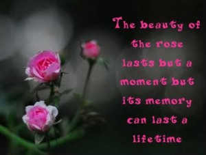 ... lasts but a moment but its memory can last a life time flowers quote