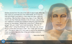 Love's Pearls of Wisdom by Mahavatar Babaji