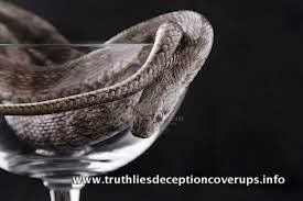 Truth Lies Deception and Coverups - Democracy Under Fire
