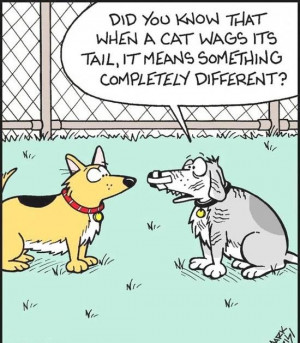 Funny Dog Cat Tail Wag Cartoon Picture Image Joke - Did you know that ...