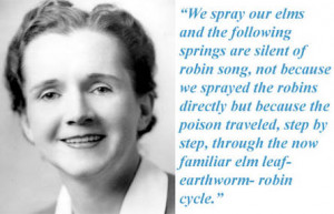 ... and registration : The legacy of Rachel Carson’s Silent Spring