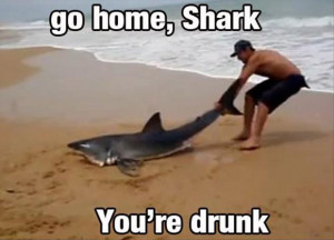 Friday Funnies - Go home, you're drunk edition