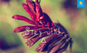 Stay WILD #Quotes: Wild Quotes, Sisterhood Quotes