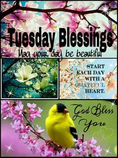 TUESDAY BLESSINGS. Start each day with a grateful heart. May your day ...