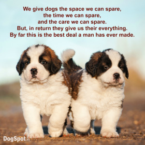 20 Dog Quotes that will make you Hug your Dog Tightly!