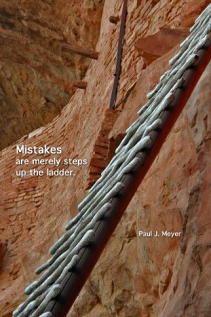 Mistakes are merely steps up the ladder.