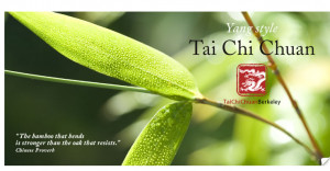 Tai Chi, Qigong, martial arts classes close to the University of ...